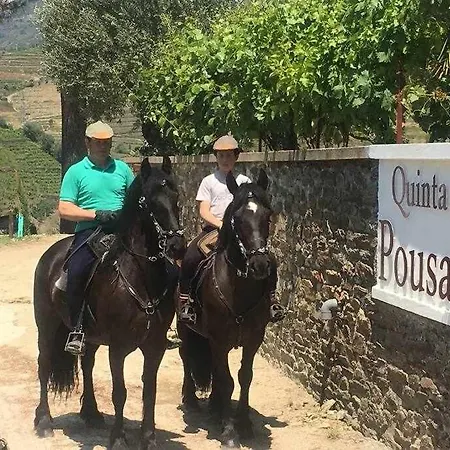 Farm stay Quinta Da Santa Marta de Penaguiao