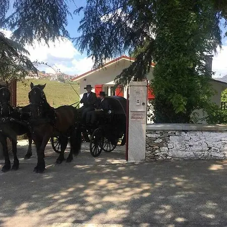 Quinta Da Santa Marta de Penaguiao