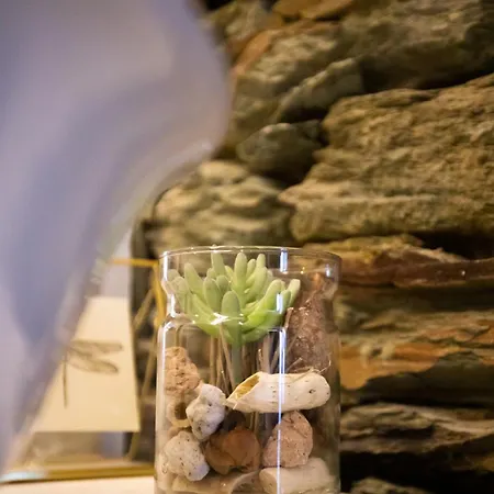 Quinta Da * サンタ・マルタ・デ・ペナギアン