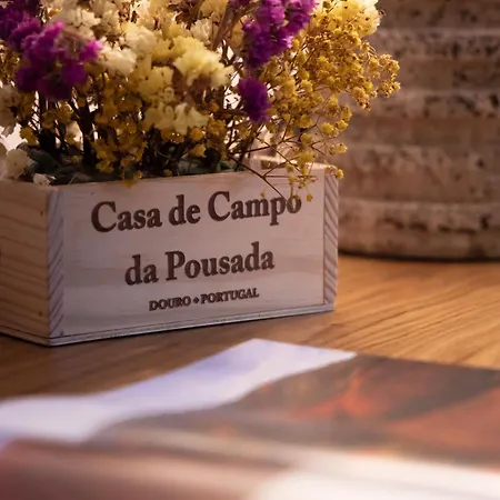 Quinta Da ファームステイ サンタ・マルタ・デ・ペナギアン