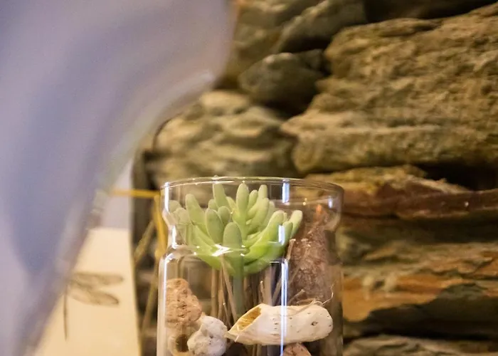 Quinta Da * Santa Marta de Penaguião